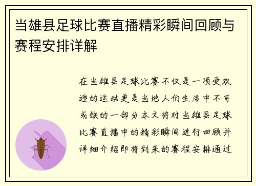 当雄县足球比赛直播精彩瞬间回顾与赛程安排详解